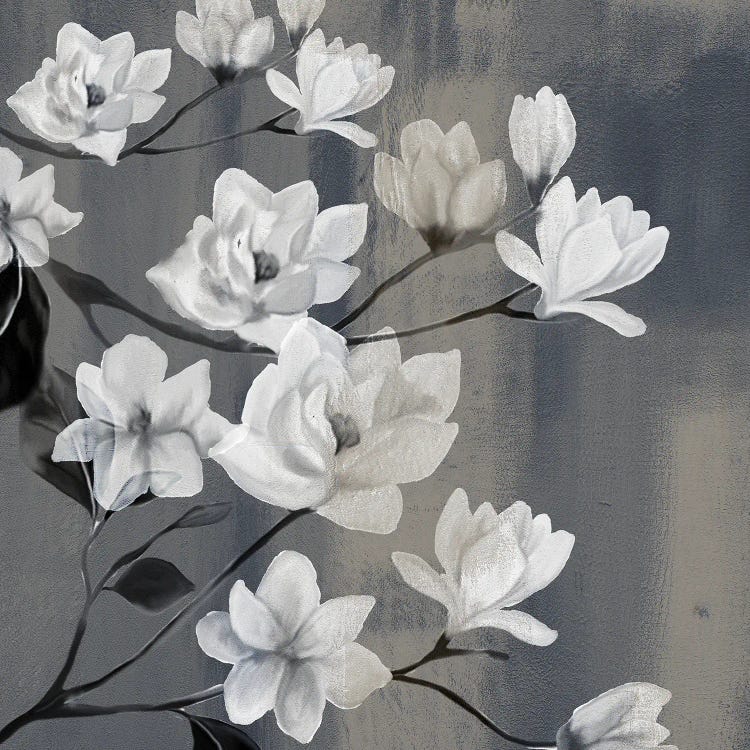 Magnolia Branches I