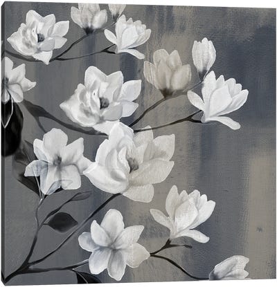Magnolia Branches I Canvas Art Print - Magnolia Art