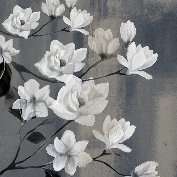 Magnolias: Magnolia Branches I by Kimberly Allen