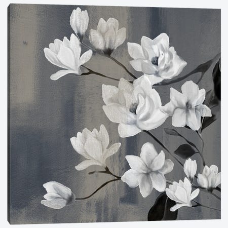 Magnolia Branches II Canvas Print #KAL581} by Kimberly Allen Art Print