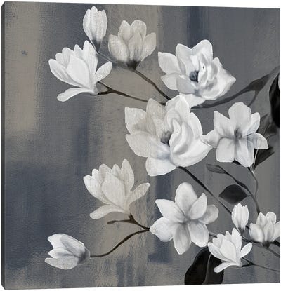 Magnolia Branches II Canvas Art Print - Magnolia Art