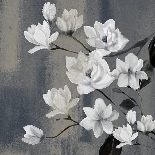 Magnolias: Magnolia Branches II by Kimberly Allen
