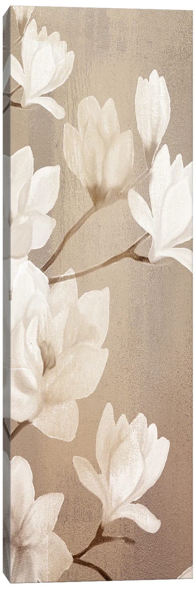 Magnolia Panel I Canvas Art Print - Magnolia Art