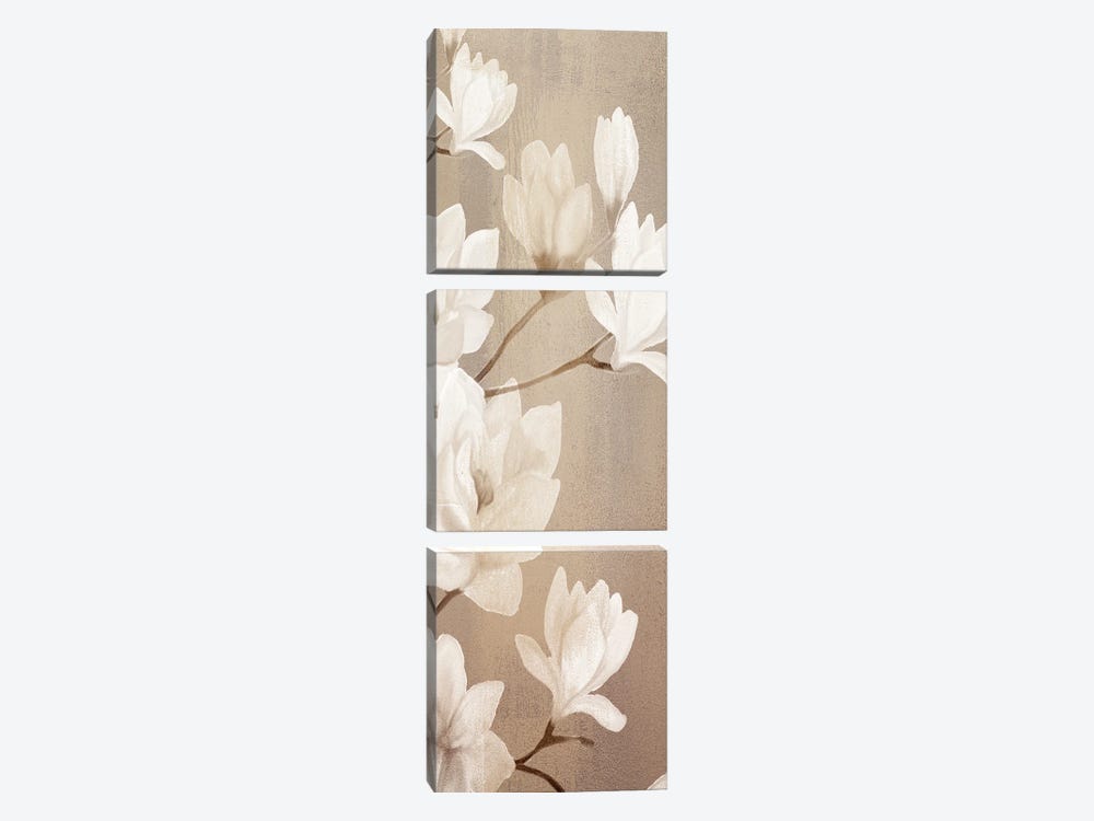 Magnolia Panel I by Kimberly Allen 3-piece Art Print