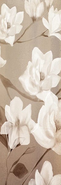 Magnolias: Magnolia Panel II by Kimberly Allen
