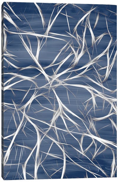 Branching Blue II Canvas Art Print - Kimberly Allen