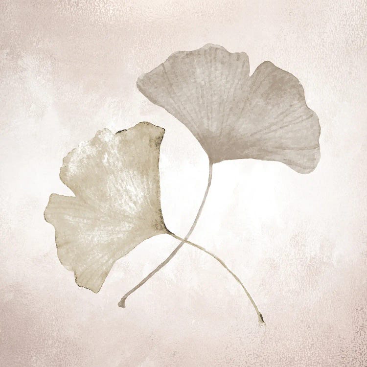 Ginkgo I