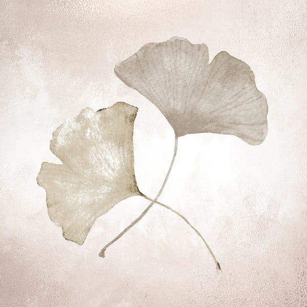 Ginkgo Trees: Ginkgo I by Kimberly Allen