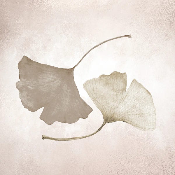Ginkgo Trees: Ginkgo II by Kimberly Allen