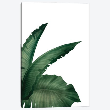 Palms I Canvas Print #KAL703} by Kimberly Allen Canvas Print