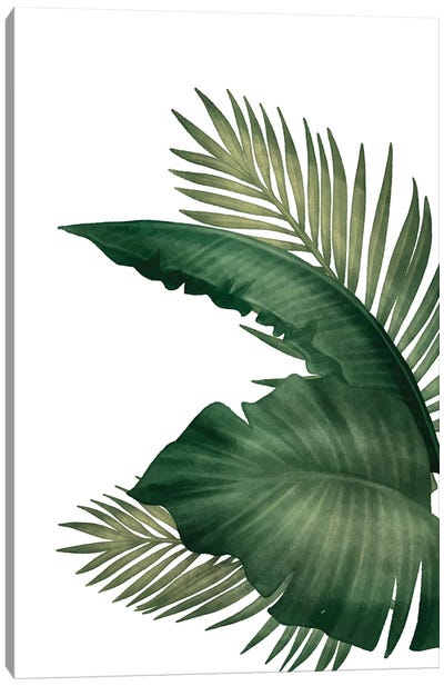 Palms III Canvas Art Print - Kimberly Allen
