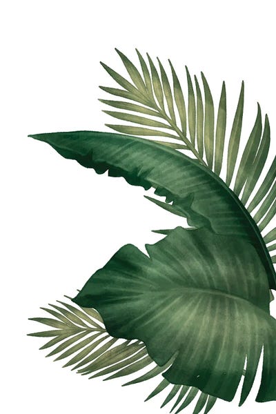 A.D. Lines Eurogroup Inc.: Palms III by Kimberly Allen