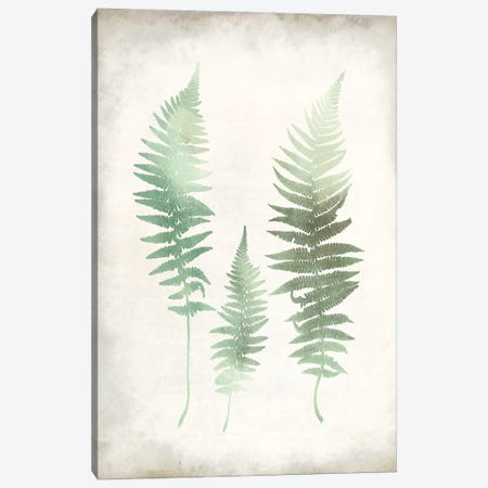 Watercolor Fern I Vintage Canvas Print #KAL724} by Kimberly Allen Canvas Wall Art
