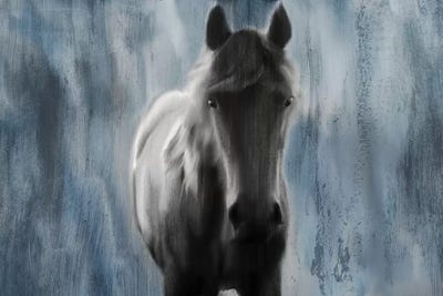 Beauty by Kimberly Allen acrylic art print