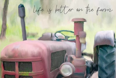 Better On The Farm II by Kimberly Allen metal wall art