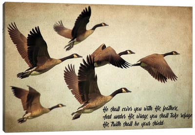His Wings Canvas Art Print - Goose Art
