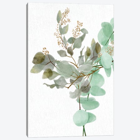 Eucalyptus I Canvas Print #KAL968} by Kimberly Allen Art Print