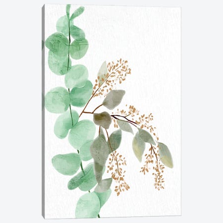 Eucalyptus II Canvas Print #KAL969} by Kimberly Allen Canvas Print