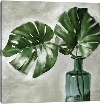 Palm Vase Canvas Art Print - Monstera Art