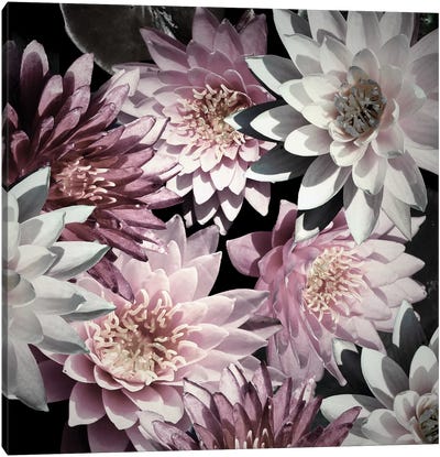 Plum Florals Canvas Art Print