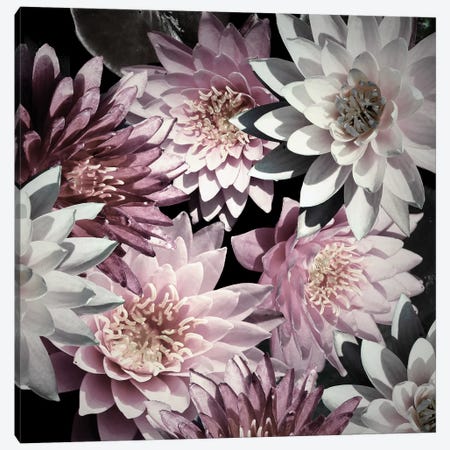 Plum Florals Canvas Print #KAM13} by Kathy Mansfield Canvas Print