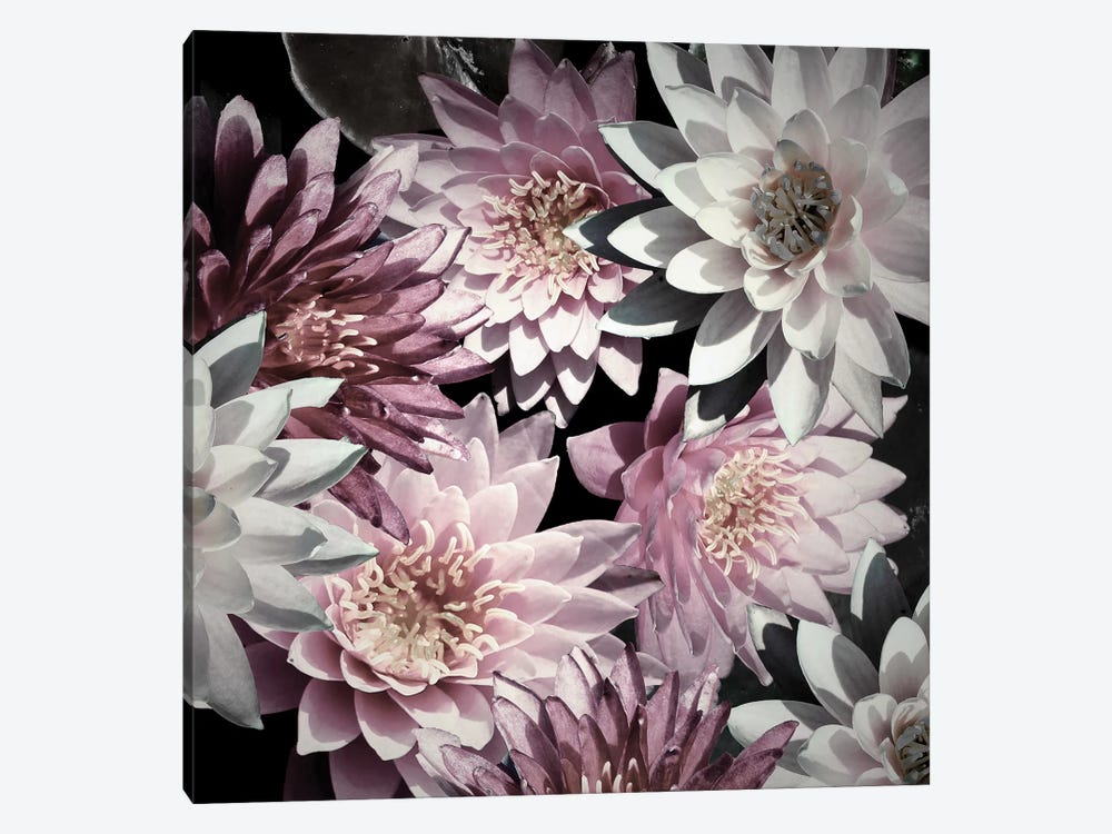 Plum Florals by Kathy Mansfield 1-piece Art Print
