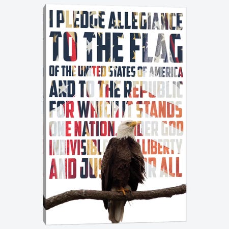 Pledge Allegiance Canvas Print #KAM19} by Kathy Mansfield Art Print