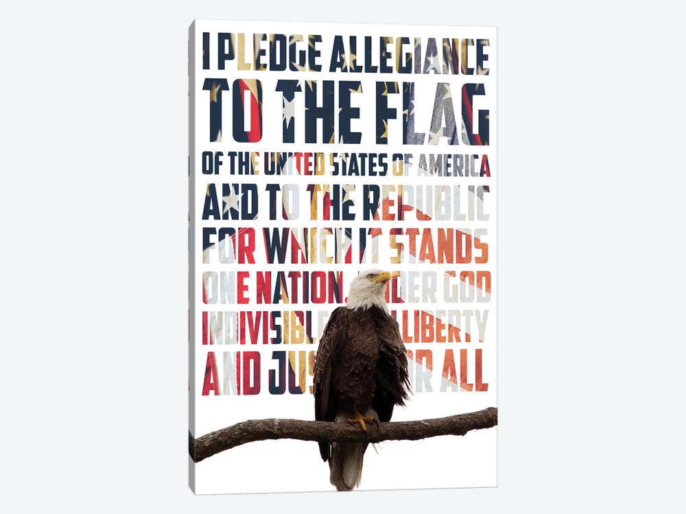 Pledge Allegiance by Kathy Mansfield 1-piece Canvas Print