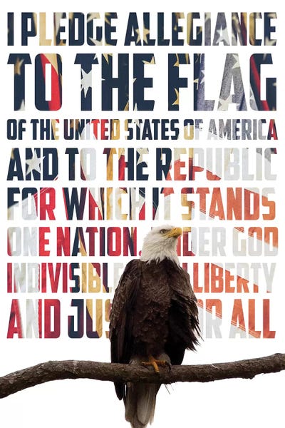 American Flags: Pledge Allegiance by Kathy Mansfield