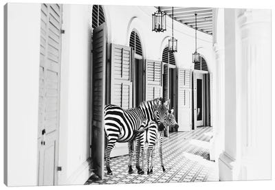 Zebra Hotel Canvas Art Print - Black & White Art