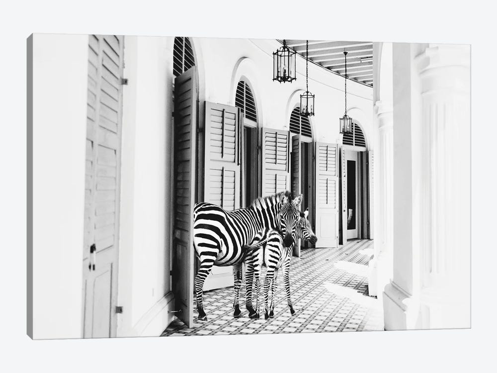 Zebra Hotel by Kathy Mansfield 1-piece Canvas Art Print
