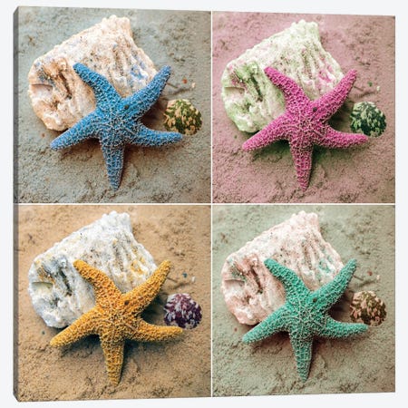 Colorful Starfish Canvas Print #KAM3} by Kathy Mansfield Canvas Wall Art