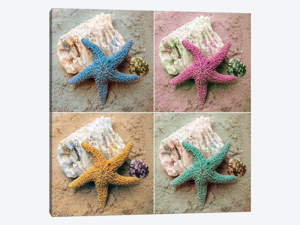 Colorful Starfish by Kathy Mansfield 1-piece Canvas Art Print