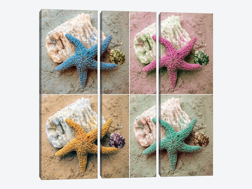 Colorful Starfish by Kathy Mansfield 3-piece Canvas Print