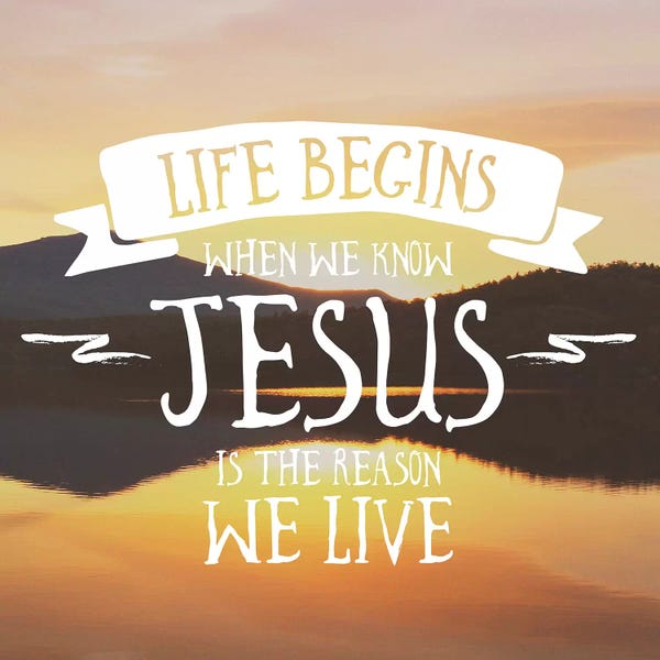Kathy Mansfield: Life Begins by Kathy Mansfield