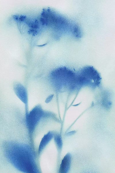 Misty Meadow Flowers I by Katrina Craven art print