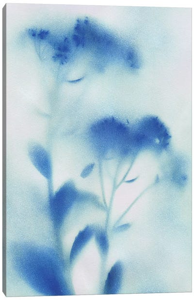 Misty Meadow Flowers I Canvas Art Print - Katrina Craven