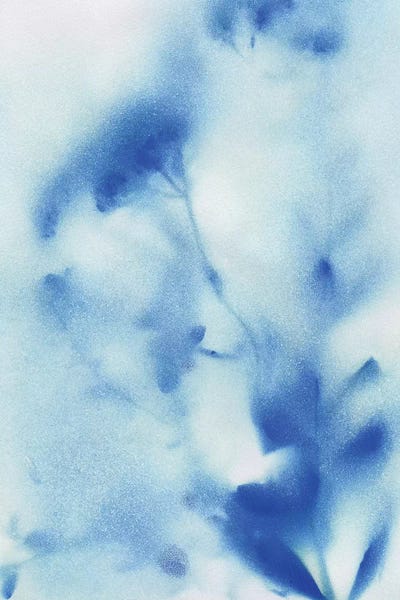 Misty Meadow Flowers II by Katrina Craven art print