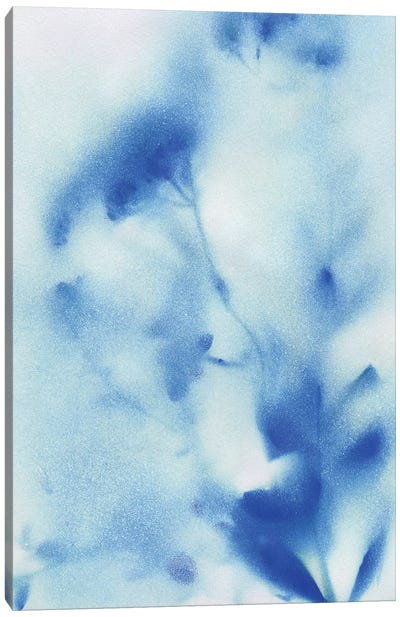 Misty Meadow Flowers II Canvas Art Print - Katrina Craven