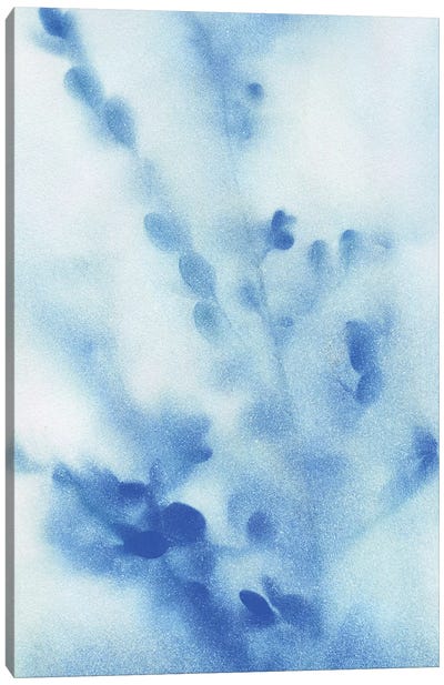 Misty Meadow Flowers III Canvas Art Print - Katrina Craven