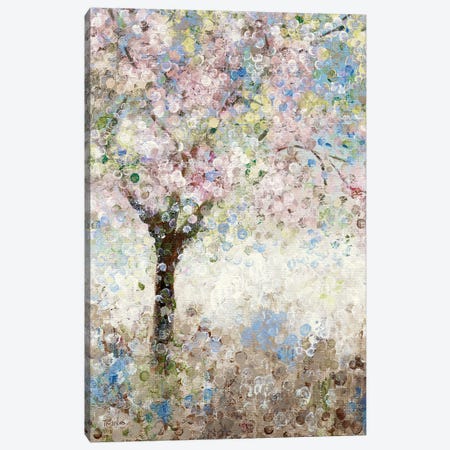 Cherry Blossoms I Canvas Print #KAT58} by Katrina Craven Canvas Art