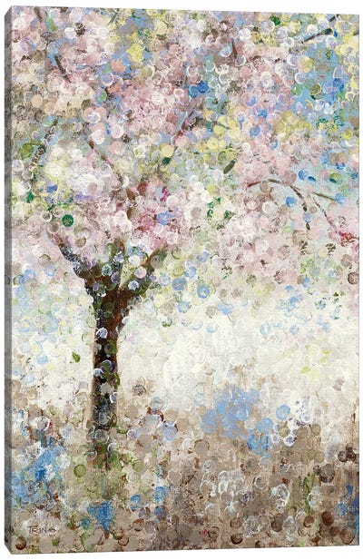 Cherry Blossoms I Canvas Art Print - Katrina Craven