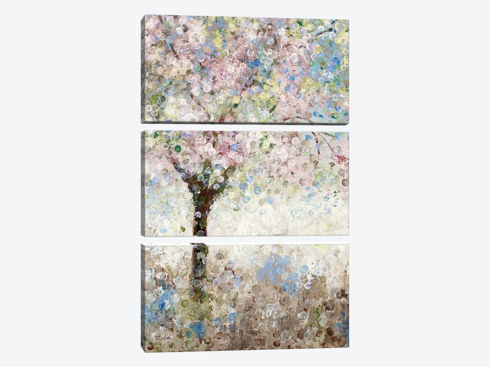 Cherry Blossoms I by Katrina Craven 3-piece Art Print