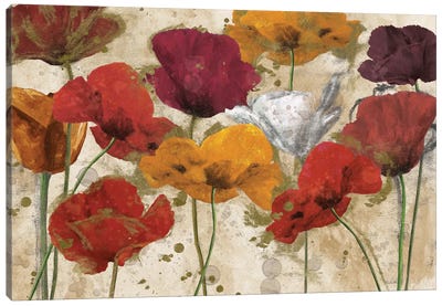 Happy Flowers Canvas Art Print - Poppy Art
