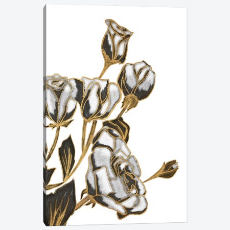 Black, White and Gold Roses Canvas Print #KAW12} by Kali Wilson Canvas Art Print