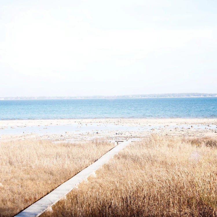 Grassy Shore