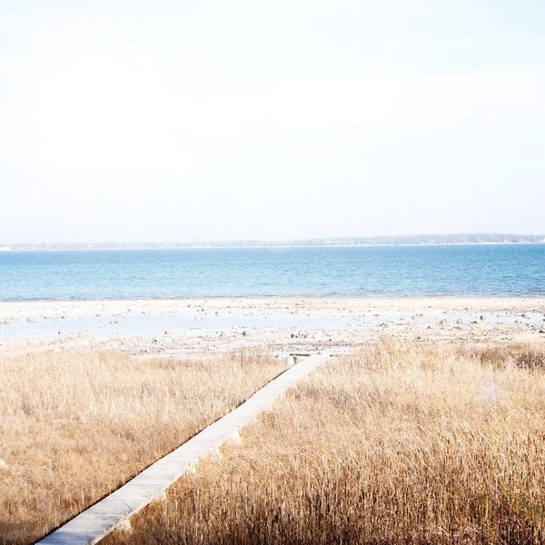 Kali Wilson: Grassy Shore by Kali Wilson