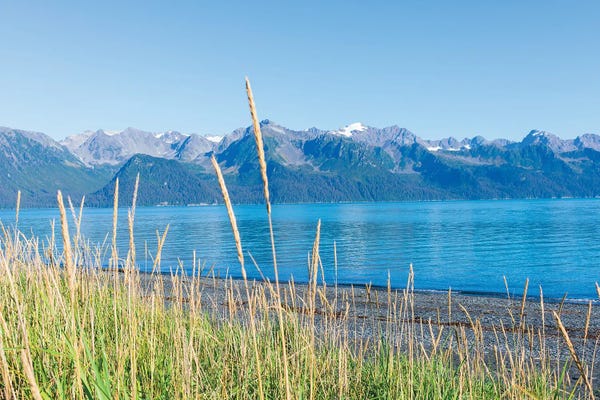 Alaska: Alaskan Shorelines by Kali Wilson