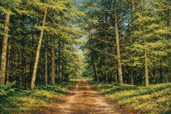 Serene Road