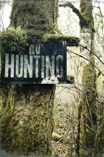 No Hunting by Kali Wilson acrylic art print